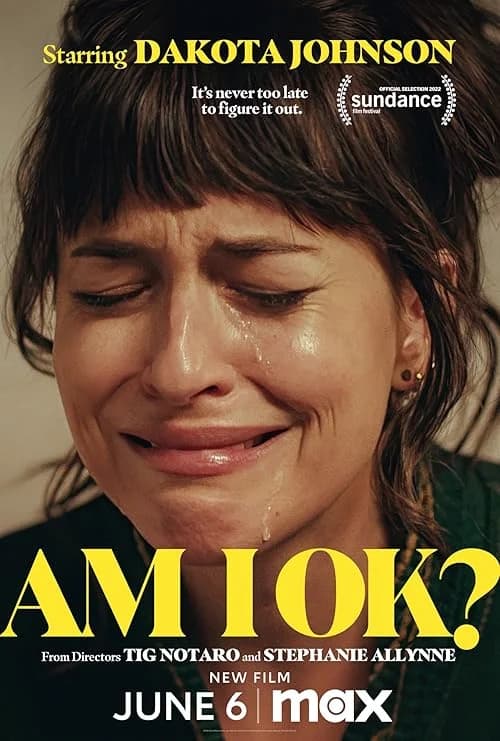 Am I OK? film posteri