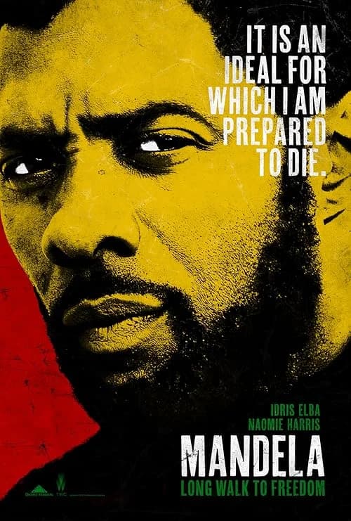 Mandela: Long Walk to Freedom film posteri